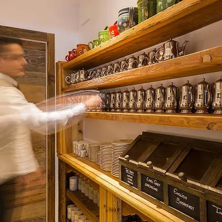 Chalet-hotel Hermitage فندق شامونكس