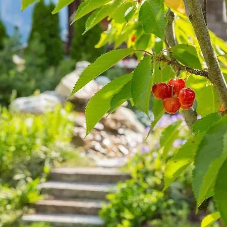 ホテル Chalet-hotel Hermitage 4*