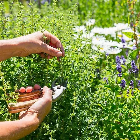 Chalet-hotel Hermitage 酒店 霞慕尼