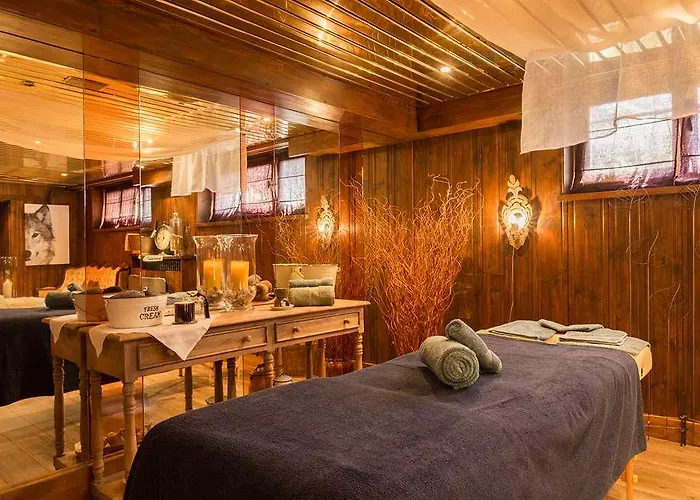 Chalet-hotel Hermitage شامونكس