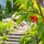 Hotel Chalet-hôtel Hermitage 4*